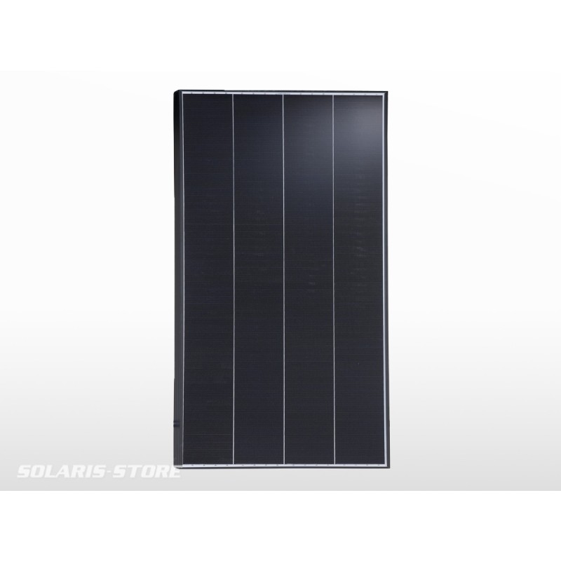 Panneau solaire back contact BLACKWELL 100W