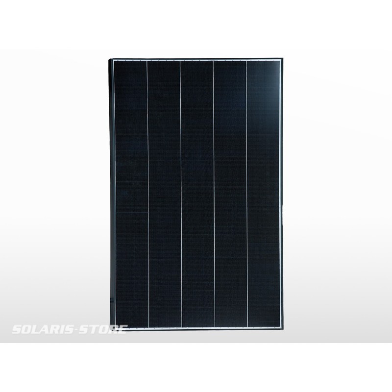 Panneau solaire back contact BLACKWELL 125W