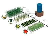 Irrigation goutte à goutte sans pression par gravité