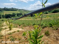 Système solaire goutte à goutte installé dans le Beaujolais (69)